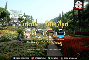 Paket Wisata Batu Murah – Selecta & Petik Apel Batu Malang