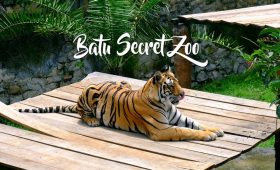batu secret zoo